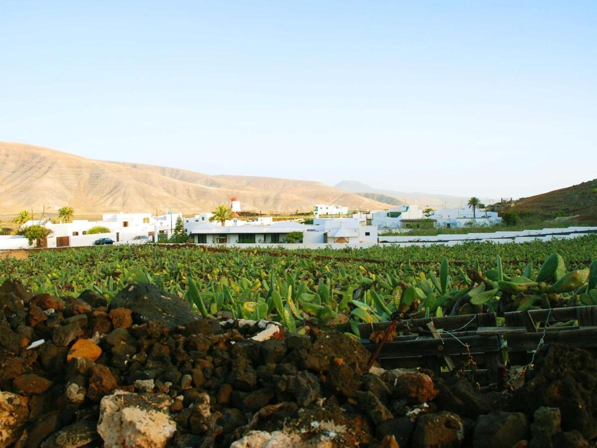 Villa Laura Guatiza Εξωτερικό φωτογραφία